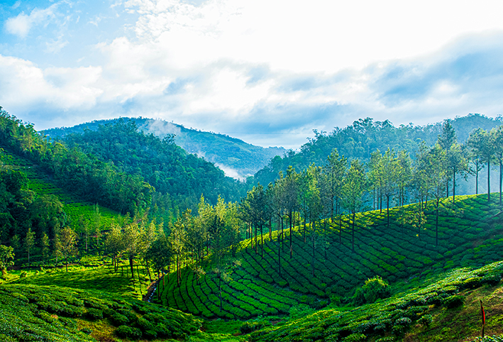 Vibrant Kerala