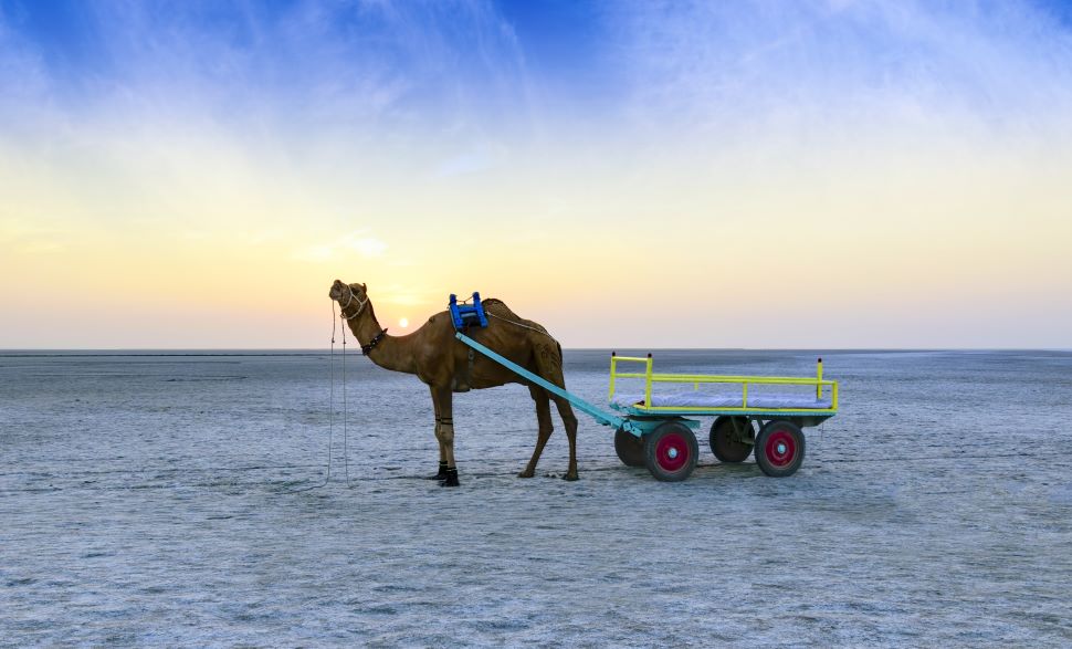 JOURNEY OF BEAUTIFULL GUJARAT