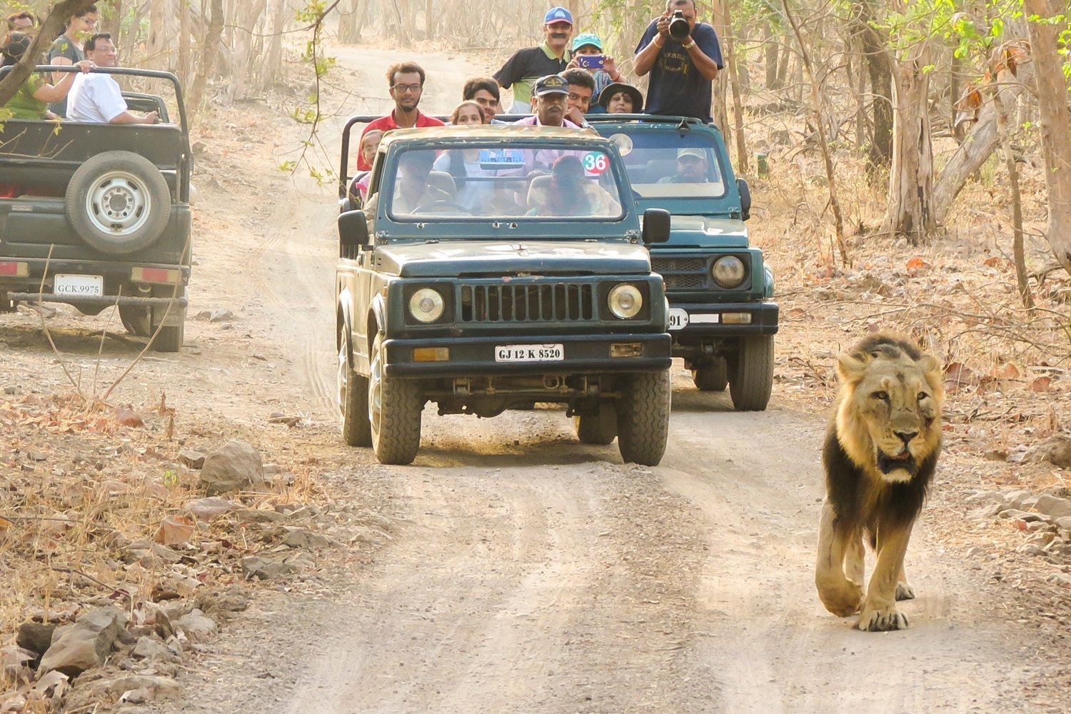 Amazing tour of Gujarat