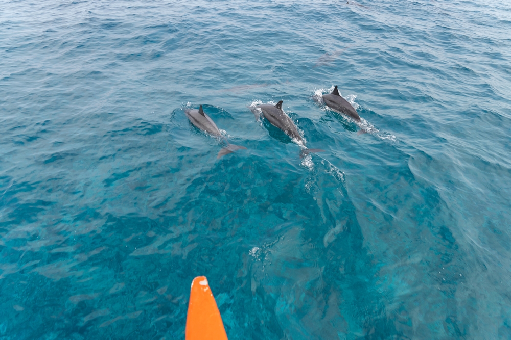 EXPLORE LAKSHADWEEP