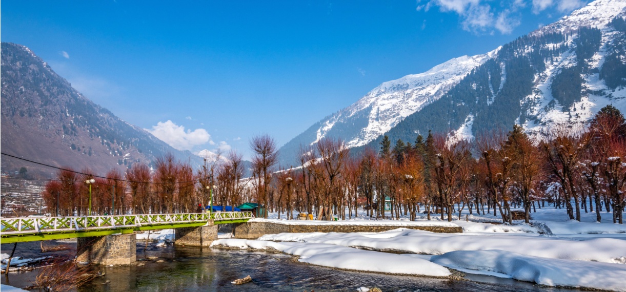 Feel Alive in Kashmir in Summer