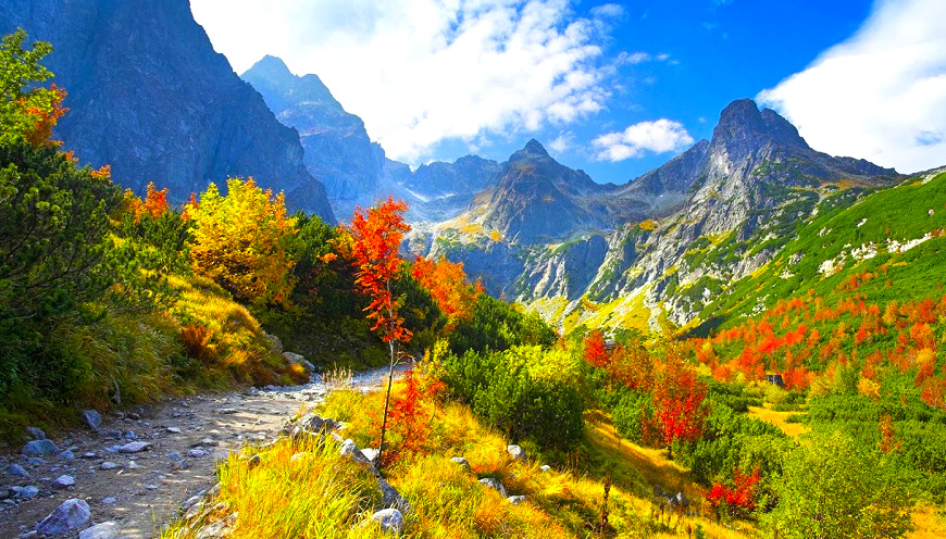 Magical Kashmir Tour