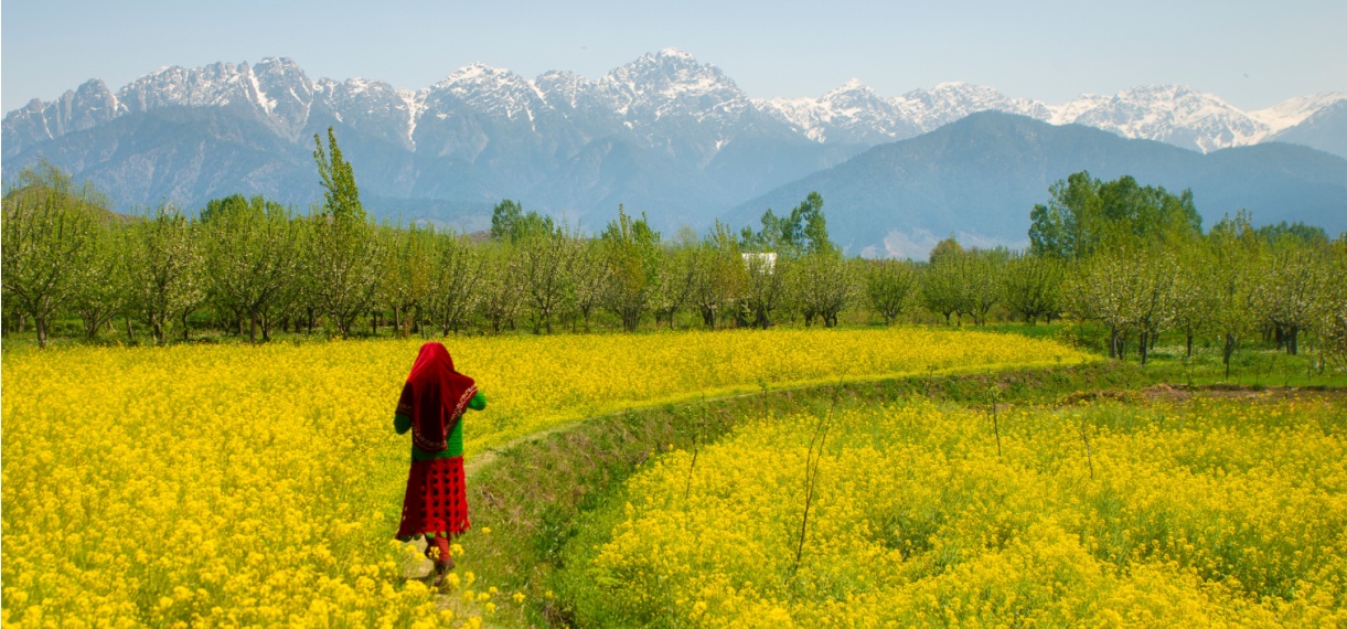 Feel Alive in Kashmir