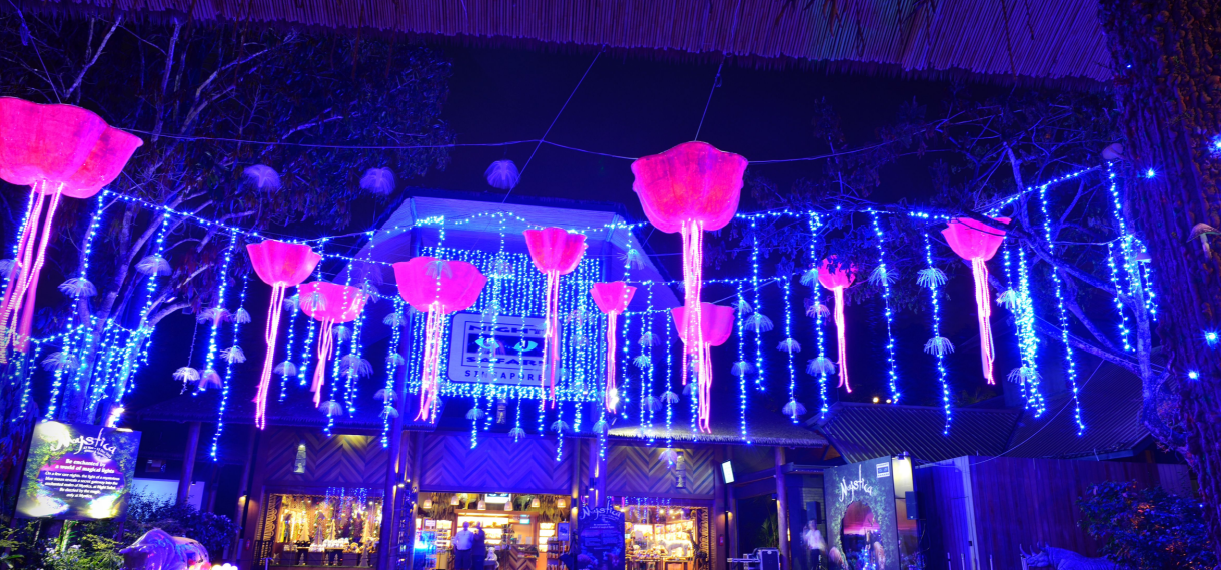 Singapore Wonder Trails