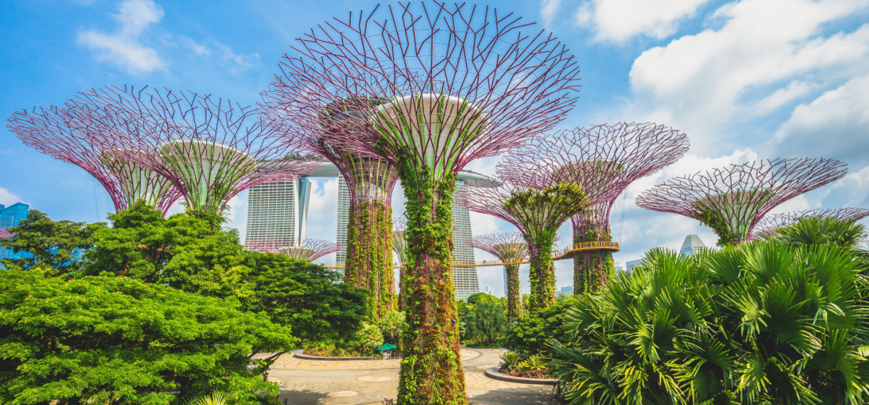 Thrilling Singapore and Malaysia