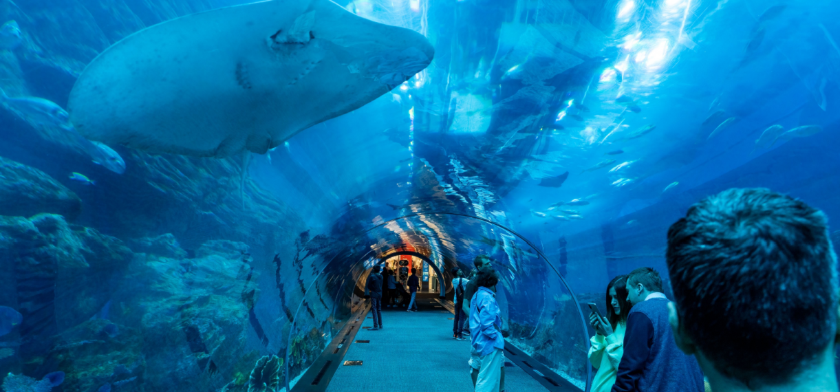 Dubai Family Adventure Escapes