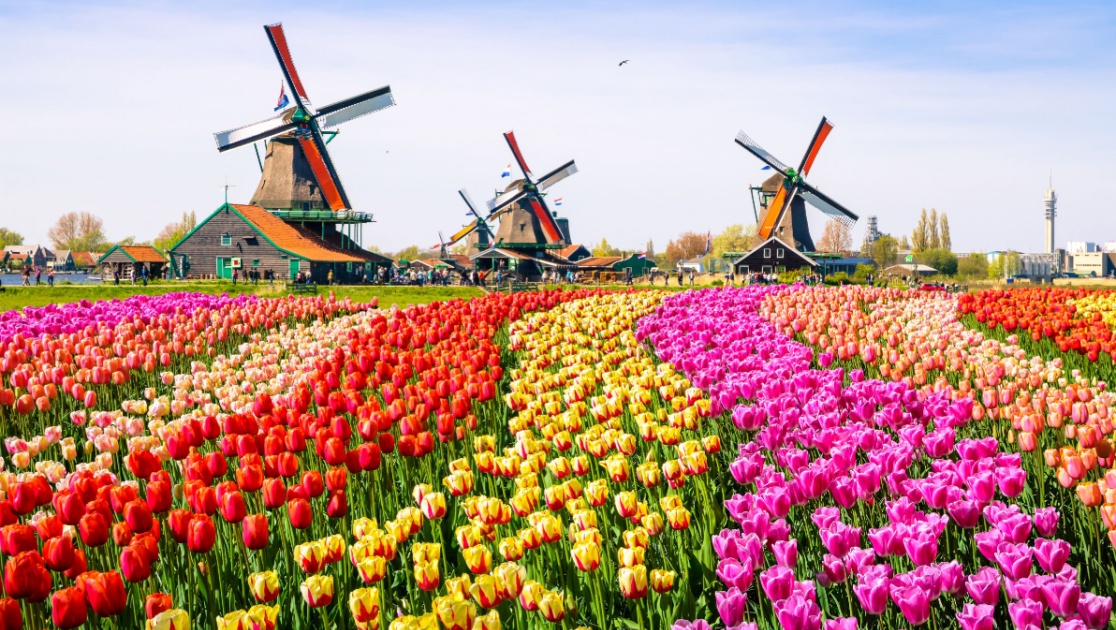Grand Wonders Of Europe