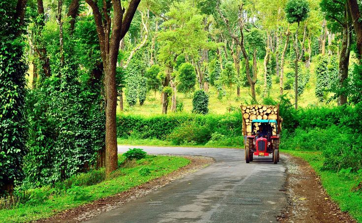 Enchanting Coorg Mysore Ooty Trip